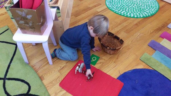 Montessori toddlers working with materials